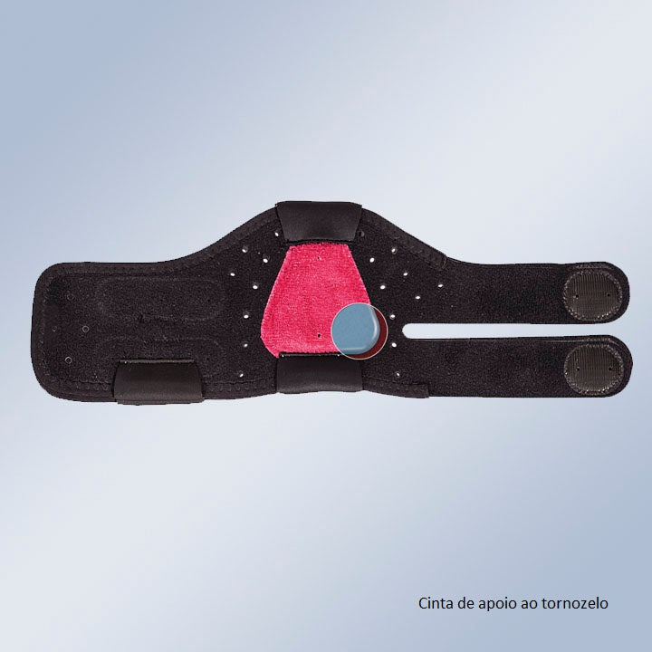 Anti-equino boxia