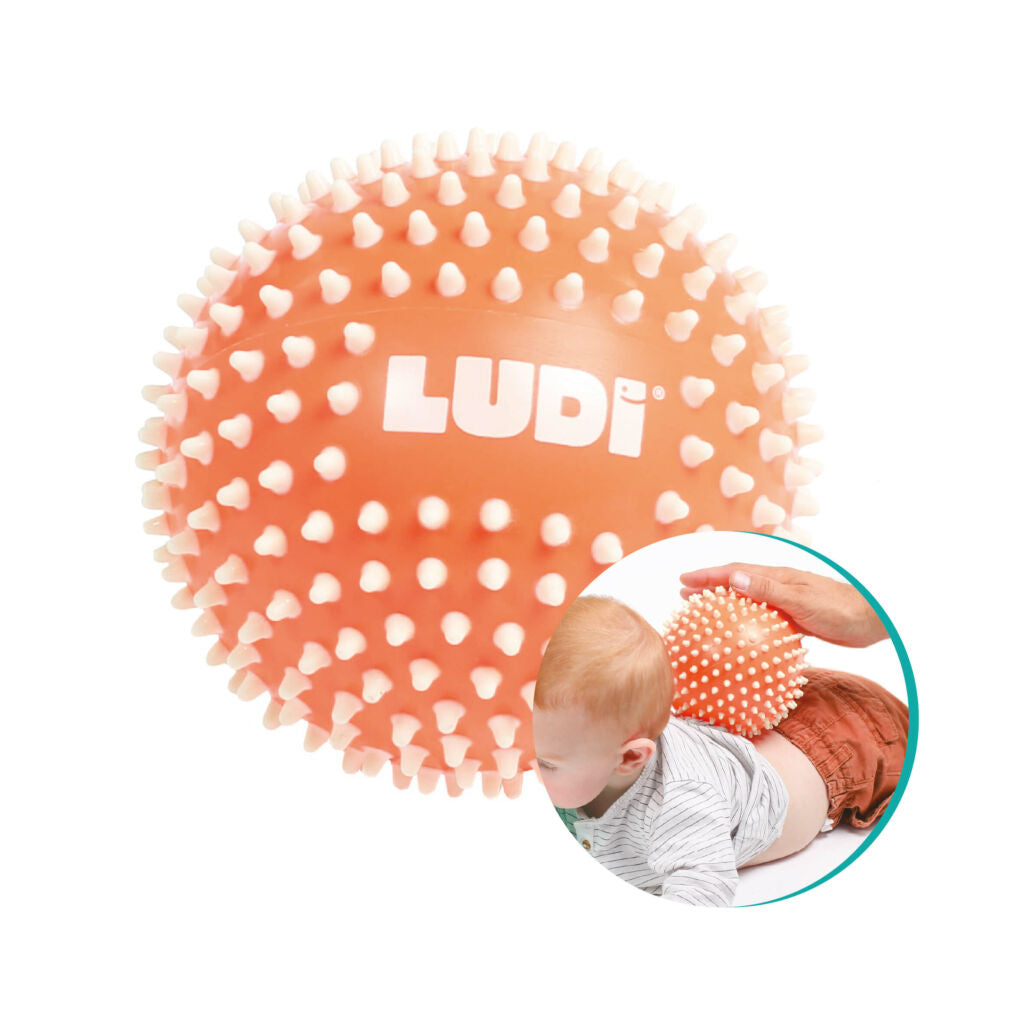 Ludi kit de atividades sensoriais para bebé +10 meses