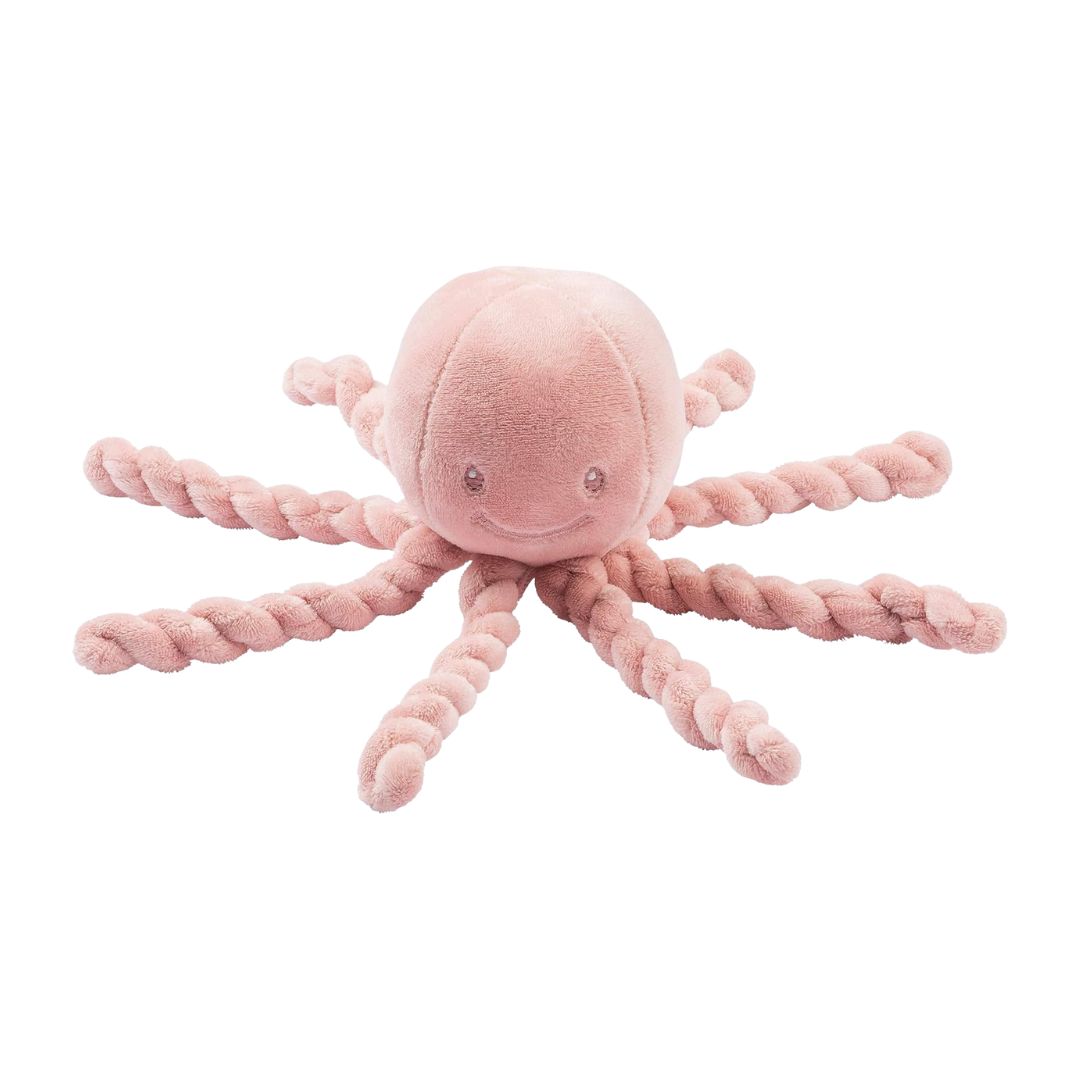 Nattou lapidou  polvo rosa velho