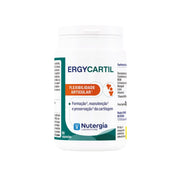 Nutergia ergycartil 90 cápsulas