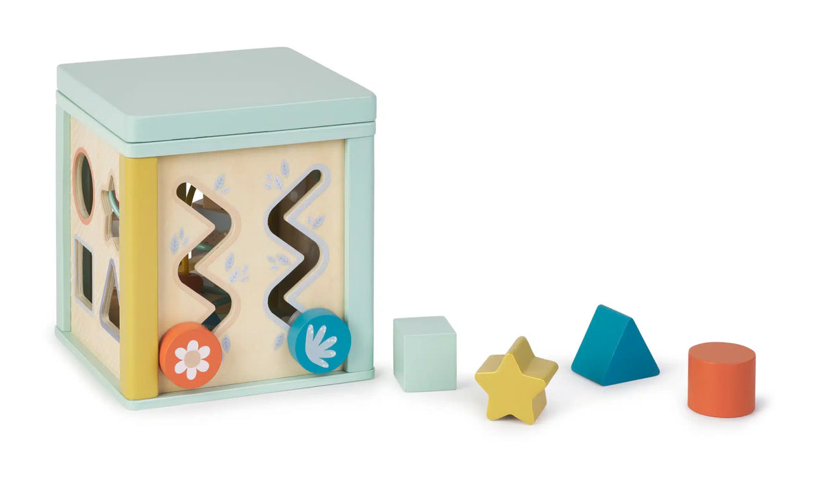 Saro cubo de atividades +12 meses