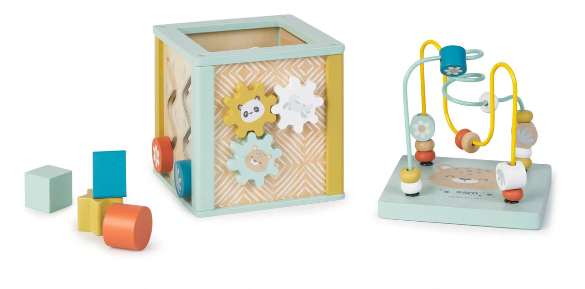 Saro cubo de atividades +12 meses