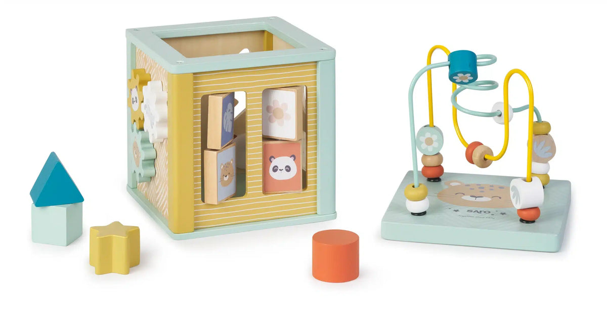 Saro cubo de atividades +12 meses