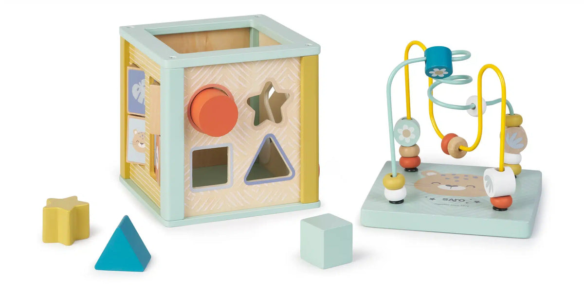 Saro cubo de atividades +12 meses